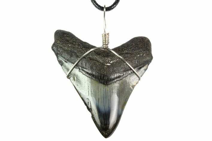 Fossil Megalodon Tooth Necklace #130380